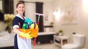 Artigos e Notícias Faxineira