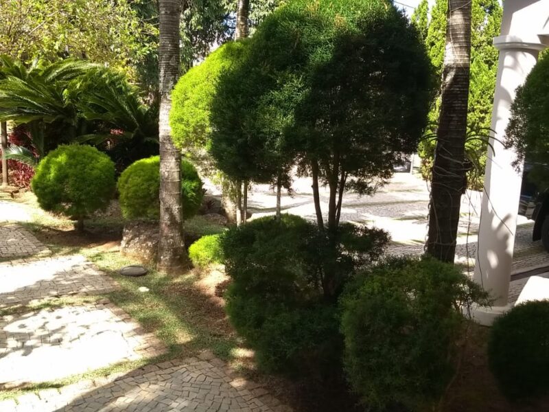 Paisagismo e manutenção de jardim em Campinas