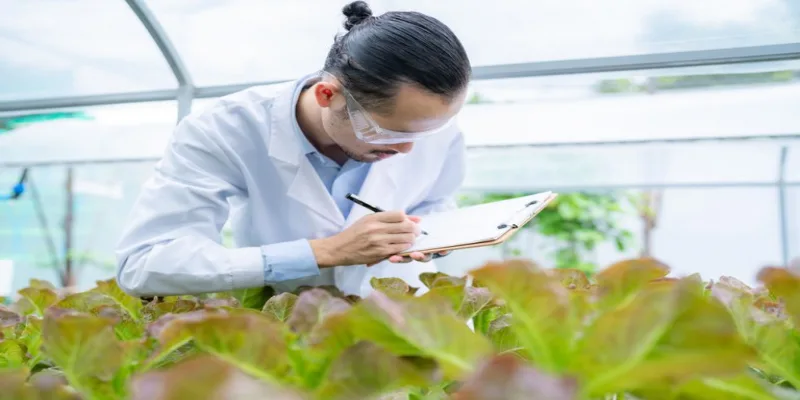 Lançado Edital Para Doutorado Em Agricultura Nos Estados Unidos — Português (Brasil)