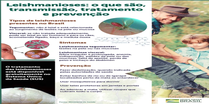 Saiba Quais São Os Tipos, Os Sintomas E A Transmissão Das Leishmanioses Em Humanos — Português (Brasil)