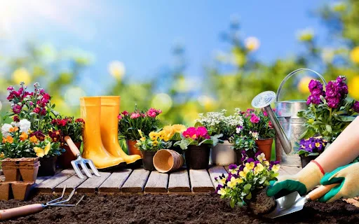 O Que Faz Um Jardineiro? | Um Prestador De Serviços De Jardineiro É Um Especialista Em Como Projetar Um Jardim Para Que As Plantas Desse Jardim Prosperem. Uma Parte Importante Do Trabalho Do Jardineiro Também É Saber Quando Plantar, Pois Certas Temperaturas E Condições São Mais Favoráveis ​​Para A Sobrevivência Da Planta. Os Jardineiros Devem Manter A Saúde De Um Jardim E Colher As Plantas Quando Chegar A Hora Certa. Os Jardineiros Também Podem Ter Vários Cargos, Como Viveiro Ou Trabalhador De Estufa.