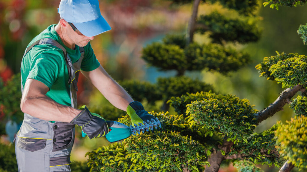 Jardineiro Perto de Mim: Quanto Custa e Como Manter Seu Jardim Sempre Impecável | Jardineiro jardineiro profissional