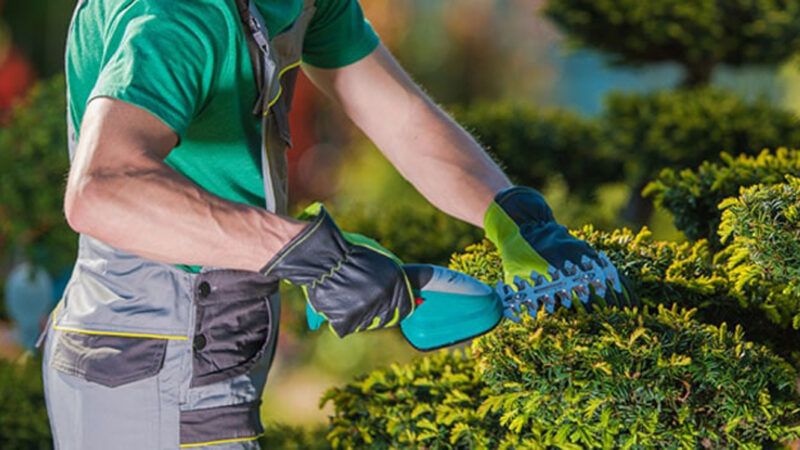8 Ideias Para Conseguir Clientes De Paisagismo | O Lucro Crescente Pode Ser Tão Complexo Quanto O Cultivo De Grama Perfeita Em Um Campo Esportivo Profissional. Mas Você Pode Construir Um Negócio De Paisagem Lucrativo Se Utilizar As Estratégias Certas. Use Essas Técnicas Para Aprender Como Conseguir Clientes De Paisagismo.