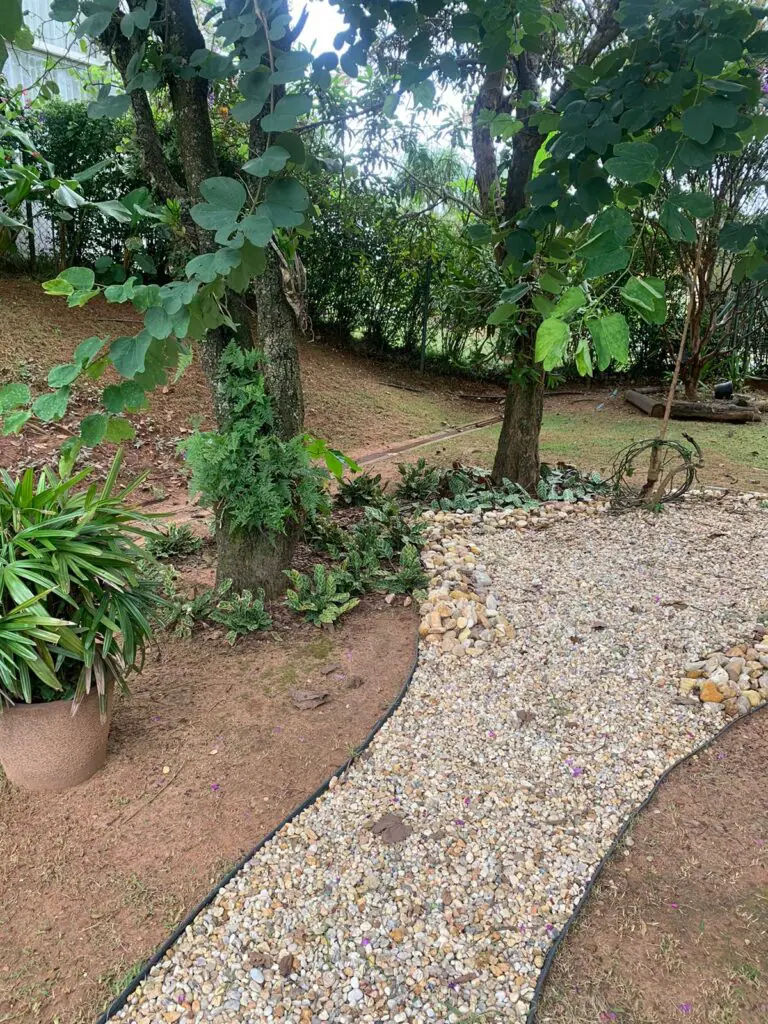 Tiago Manente Manutenção De Jardins