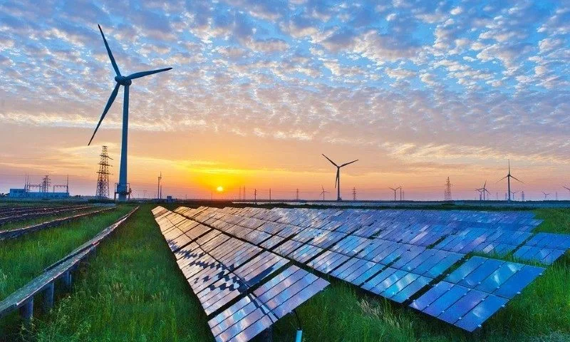 Energia Renovável Impulsiona Pequenas Empresas | Apesar Da Paralisia De Políticas Em Nível Geral, A Força Comercial Do Setor De Energia Renovável É Inegável.