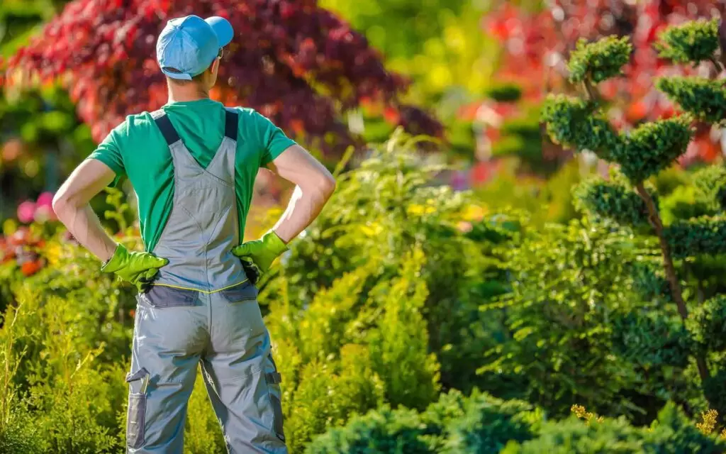 Como Melhorar Sua Atuação Como Paisagista | Administrar Um Negócio De Paisagismo Não É Um Passeio No Parque. Para Ser Um Bom Paisagista , Você Precisa Ter Um Olhar Criativo, Pensar Metodicamente E Estar Preparado Para Arregaçar As Mangas E Ficar Preso. Como Proprietário De Uma Empresa, Seu Conhecimento Prático E Atenção Aos Detalhes Só O Levarão Até Certo Ponto.