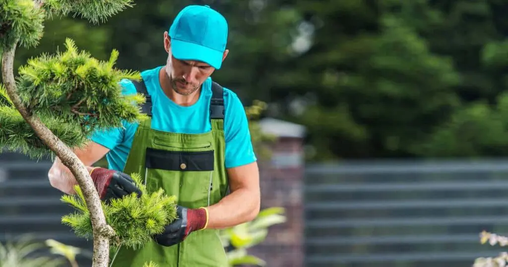 Jardineiro Perto de Mim: Quanto Custa e Como Manter Seu Jardim Sempre Impecável | 001 jardim8 ardineiro para condomínio serviço manutenção área verde 2026