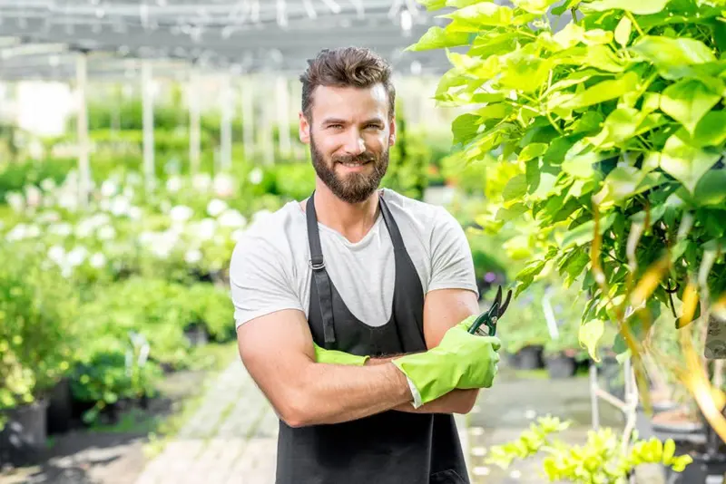 Jardineiro Perto de Mim: Quanto Custa e Como Manter Seu Jardim Sempre Impecável | 001 jardineiro poda de árvore jardineiro profissional 2026 Brasil