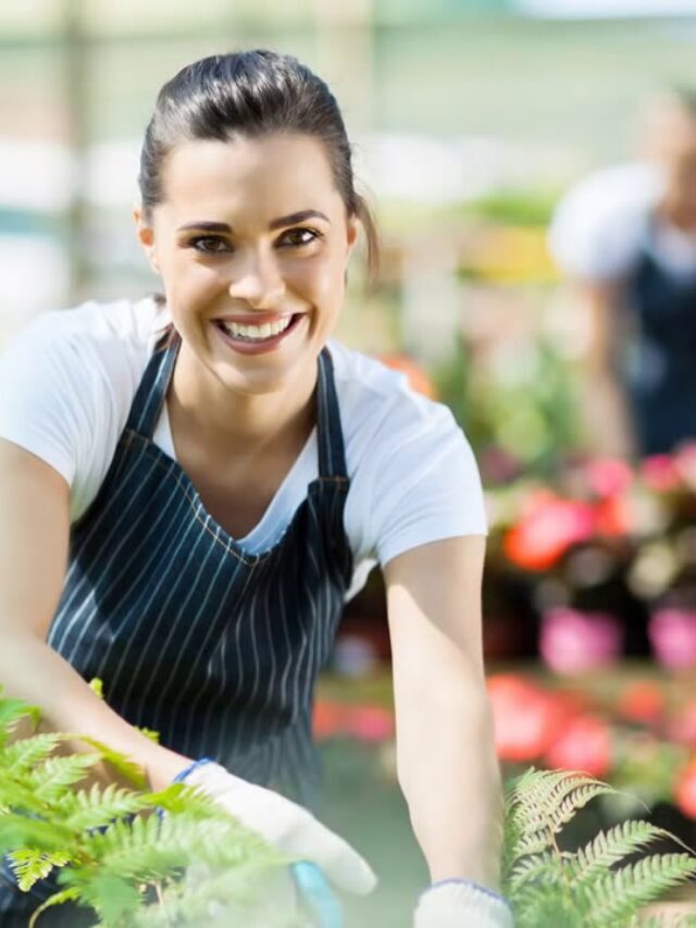 Dicas no serviço de Jardinagem