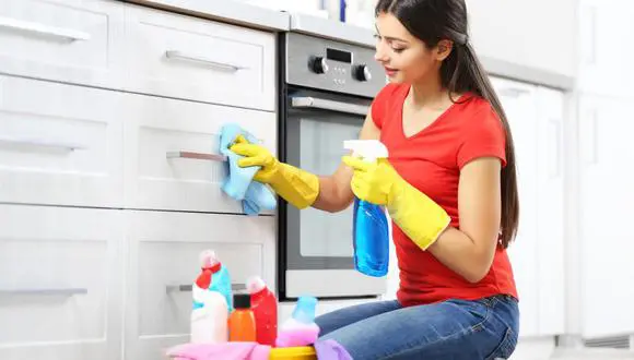 Limpeza Profissional: as 15 Perguntas Que Você Deveria Fazer Antes de Contratar | limpeza 009 limpeza impecável, Limpeza: 10 dicas infalíveis para deixar tudo brilhando!