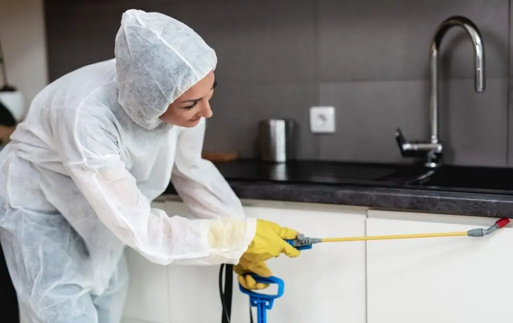 tabela dedetização preço por praga 2026