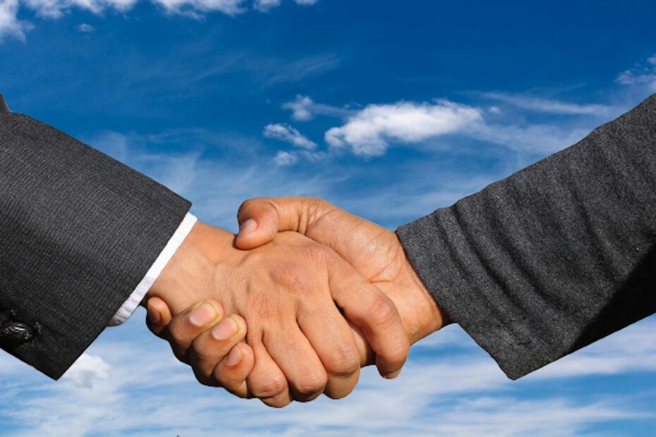 HANDSHAKE, BUSINESS, PARTNER-6015639.JPG