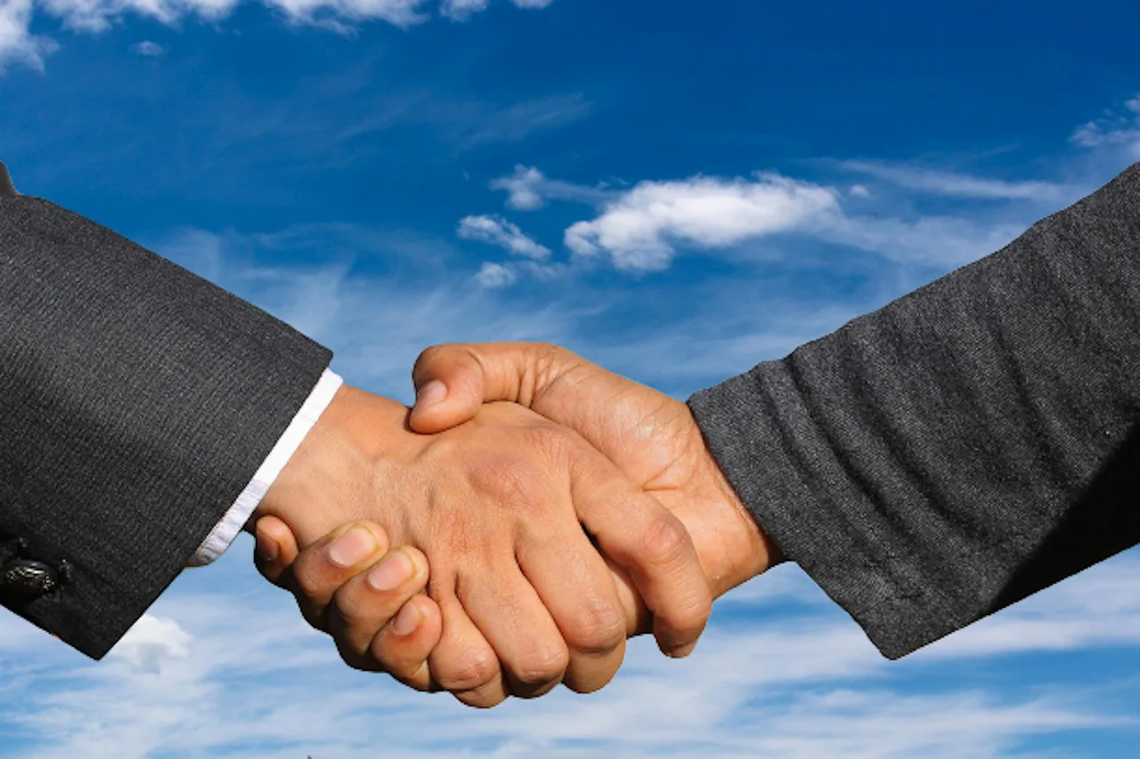 Handshake, Business, Partner-6015639.Jpg