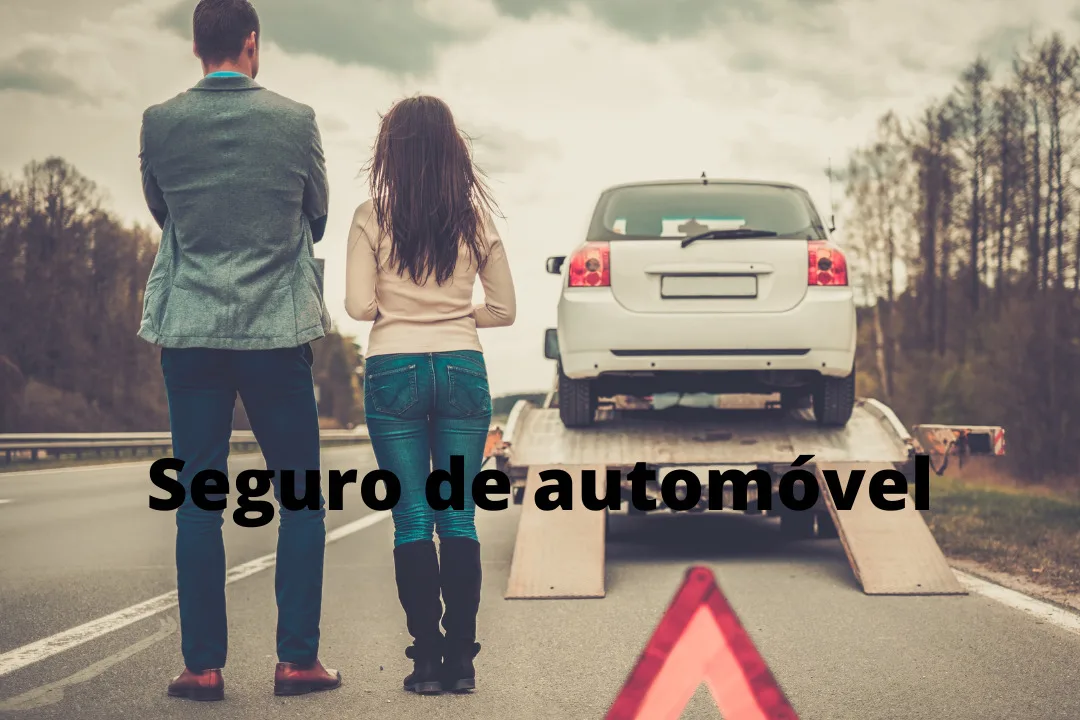 Vendedores | Profissão: Corretor De Seguros; Cidade: Valinhos/Sp.