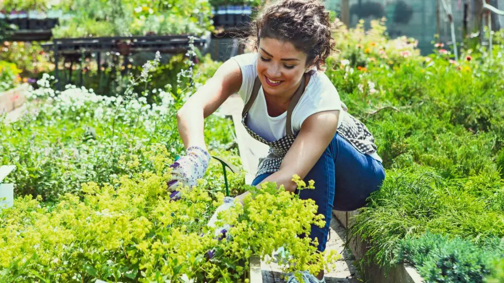 jardineiro profissional Jardineiro Perto de Mim - Seu jardim impecável! A profissão de jardineiro é uma das mais antigas e nobres que existe. O jardineiro é responsável por cuidar de jardins, parques e áreas verdes, garantindo que as plantas estejam sempre saudáveis e bonitas. Além disso, ele também pode fazer a poda de árvores, a manutenção de gramados e até mesmo a instalação de sistemas de irrigação. Mas, além das atividades práticas, o que faz um jardineiro? Quais os desafios nos tempos de hoje? Como fidelizar e ter mais clientes? E como divulgar os serviços de um jardineiro? - Manutenção de Jardim