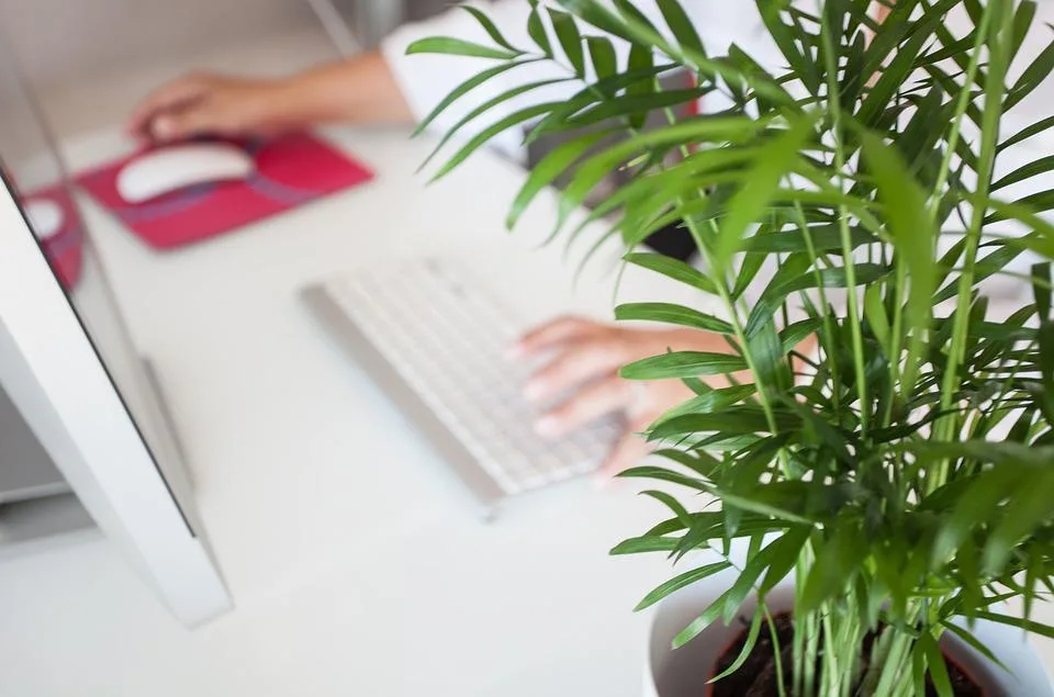 Fidelizar clientes é uma das metas mais importantes de qualquer empresa, afinal, manter um cliente satisfeito e fiel traz benefícios como aumento de receita, indicação para novos clientes e a construção de uma imagem positiva da marca. Por isso, no post de hoje, vamos falar sobre como a minha empresa tem conseguido fidelizar os seus clientes ao longo dos anos. Empresario11O Que Eu Preciso Para Ter Minha Empresa
Você Já Sonhou Em Ter Sua Própria Empresa? Ter A Liberdade De Fazer Suas Próprias Escolhas, Criar Algo Do Zero E Ver Seu Negócio Crescer E Prosperar? Se A Resposta For Sim, Você Está No Lugar Certo. Neste Texto, Vamos Explorar O Que É Necessário Para Tirar Esse Sonho Do Papel E Transformá-Lo Em Realidade.