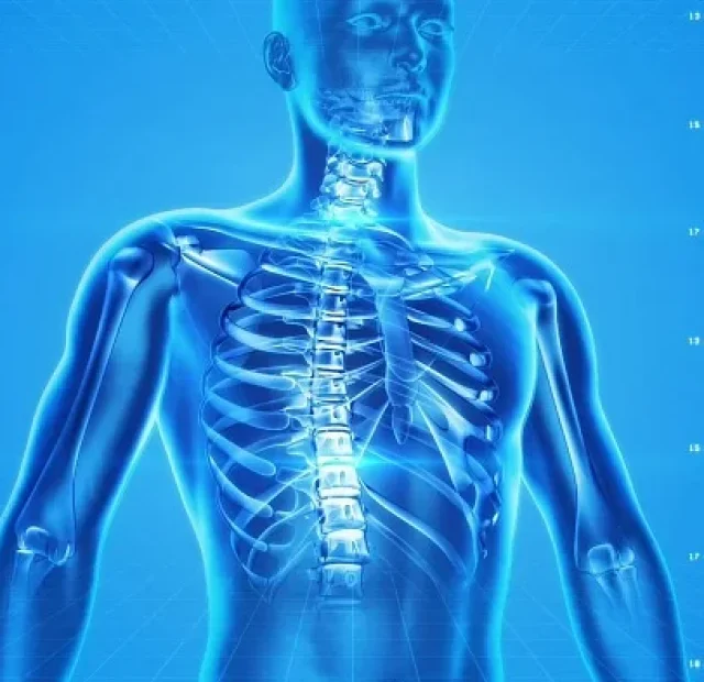 CROPPED-HUMAN-SKELETON-163715_960_720.WEBP