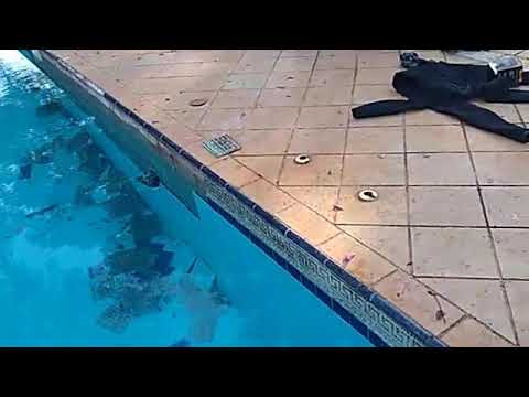 Troca de azulejos em piscinas - Dolphin