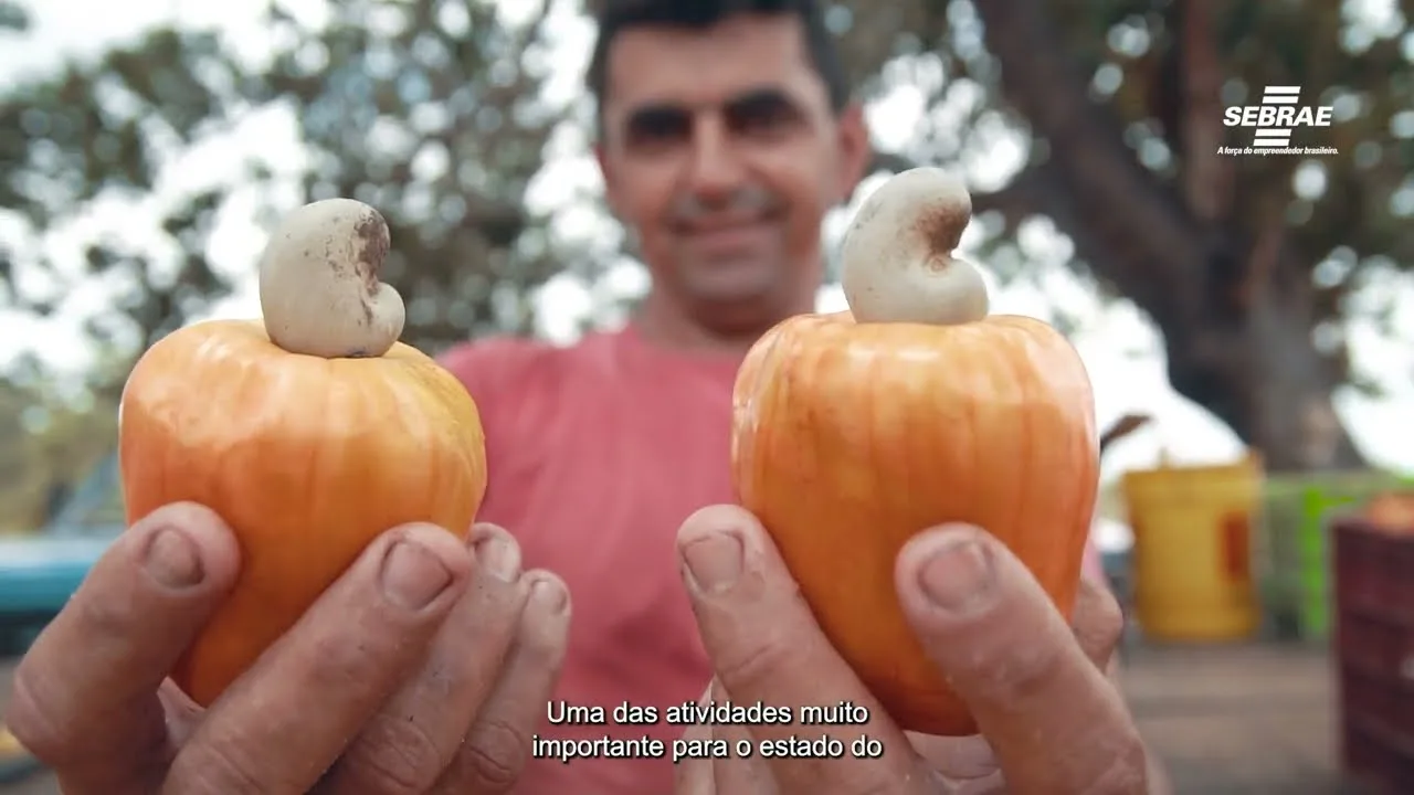 Projeto Do Caju Sebrae | Https://Www.youtube.com/Watch?V=8Dj64Dfcu6I