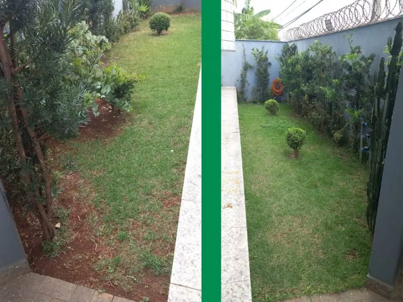 limpeza de chácaras em Contagem/MG