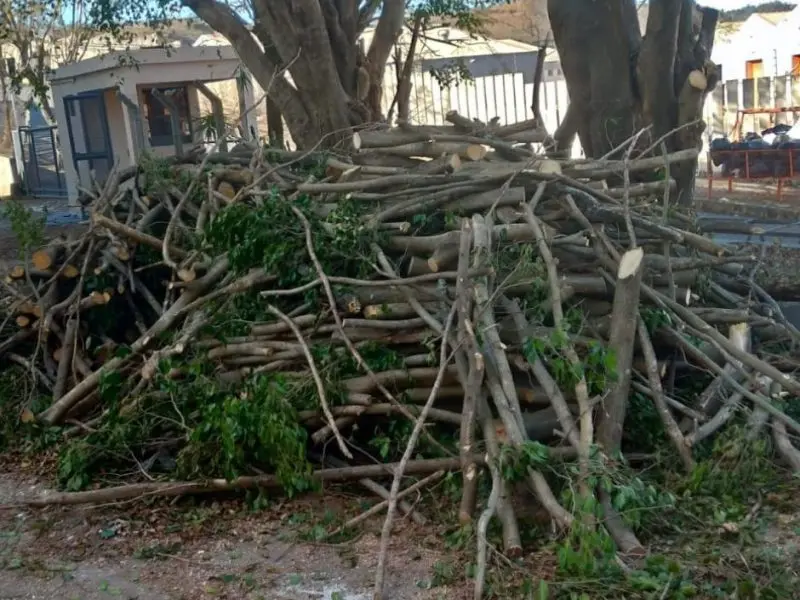 Serviços de jardinagem em Contagem/MG