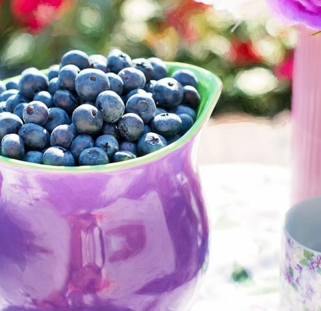 CROPPED-BLUEBERRIES-864628_960_720.JPG