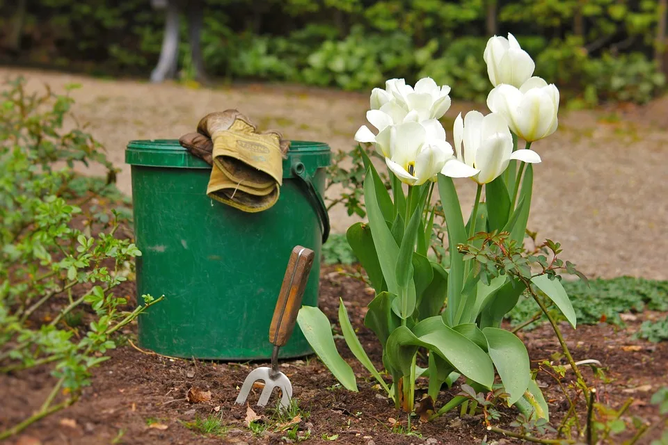 Dicas Para Jardinagem: Começar Do Zero Com Orquídea | Orquídeas Dão Flores Exuberantes E Povoam O Imaginário Dos Fãs De Jardinagem. Mesmo Tornando-Se Bem Populares, Algumas Pessoas Ainda Têm Receio De Não Conseguir Cultivar Uma Única Orquídea Sequer. Nossa Jardineira Carol Costa Mostra Neste Quarto Episódio Da Série &Quot;Começar Do Zero&Quot;, O Básico Pra Você Jogar O Medo No Lixo E Receber Em Troca Uma Orquídea Florida Pelas Suas Próprias Mãos E Cuidados.