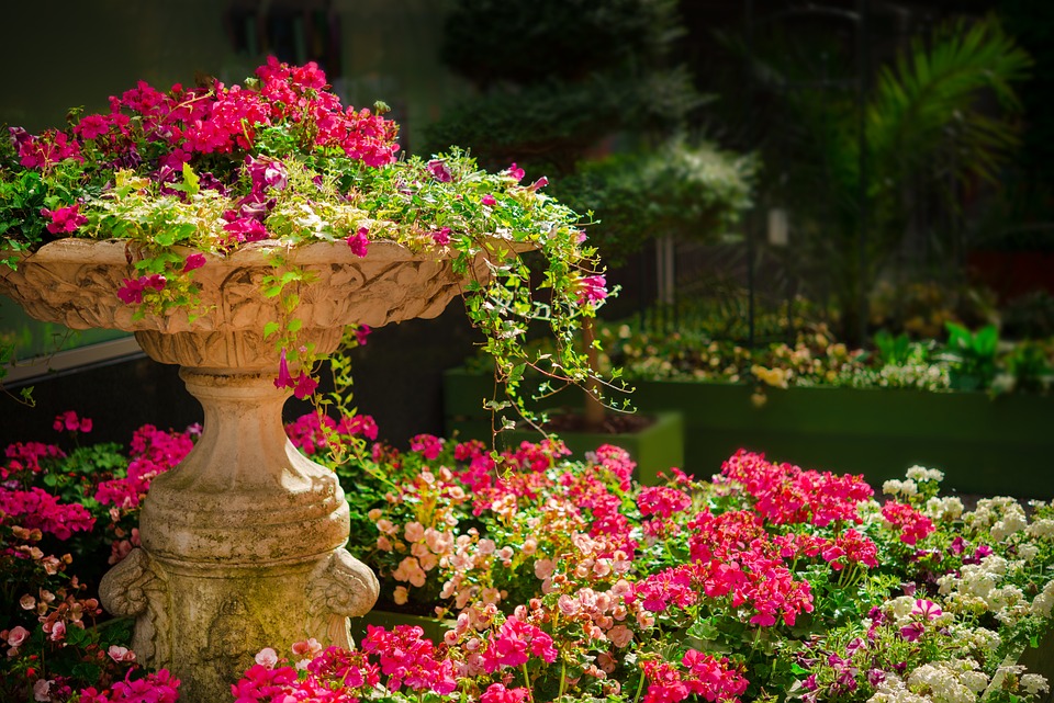 COMO TODO BOM NEGÓCIO, UMA FLORICULTURA PRECISA ESTAR ANTENADA COM AS TENDÊNCIAS DO MERCADO, SABER PRESTAR UM BOM ATENDIMENTO E LEVAR O MELHOR PRODUTO E SERVIÇO AO PÚBLICO CONSUMIDOR.