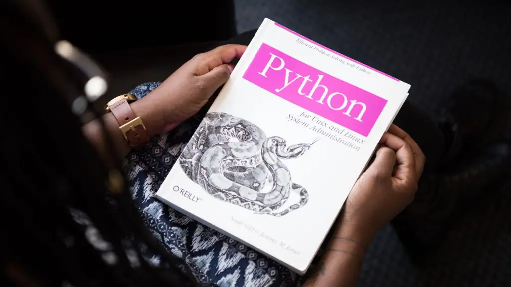 Programador Python