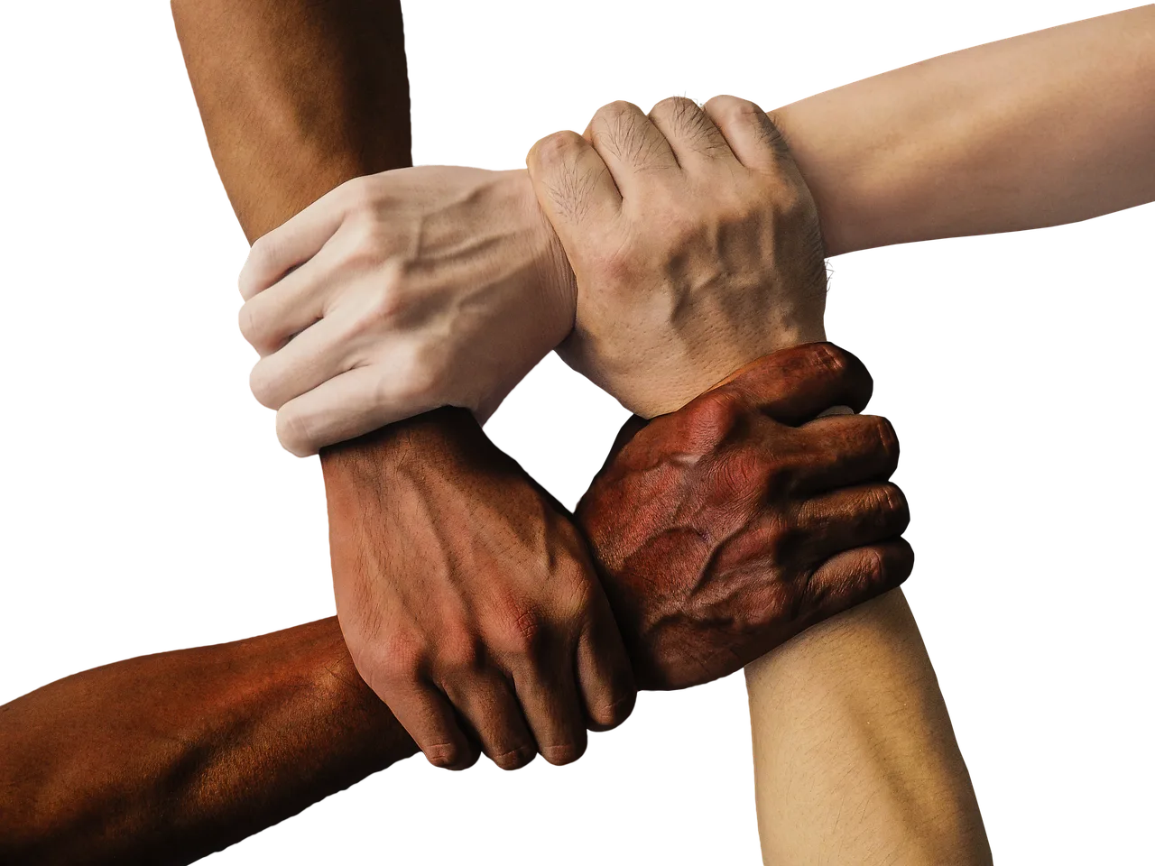 Hands, Team, United-1917895.Jpg