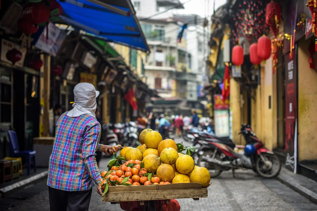 Street Vendor, Fruit Vendor, Hanoi-4176310.Jpg