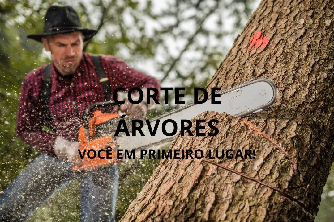 Corte De Árvores