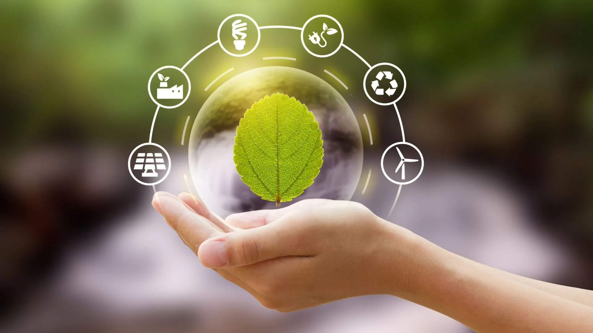 Engenheiro Ambiental