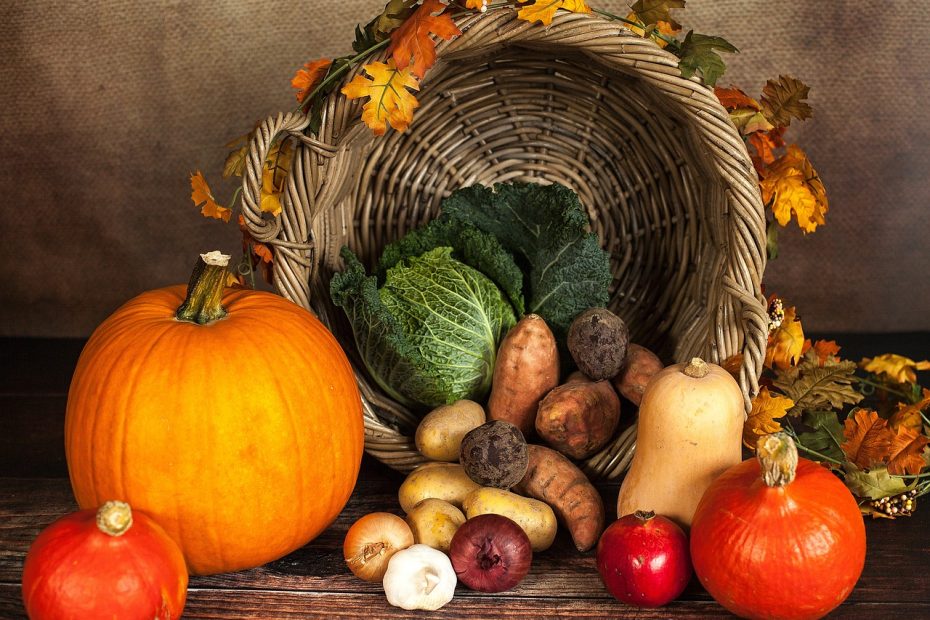 PUMPKIN, VEGETABLES, AUTUMN-1768857.JPG