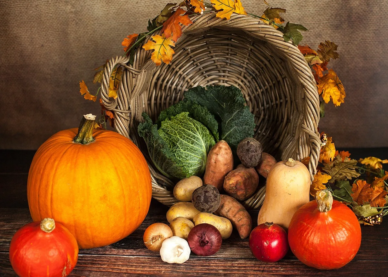 Pumpkin, Vegetables, Autumn-1768857.Jpg