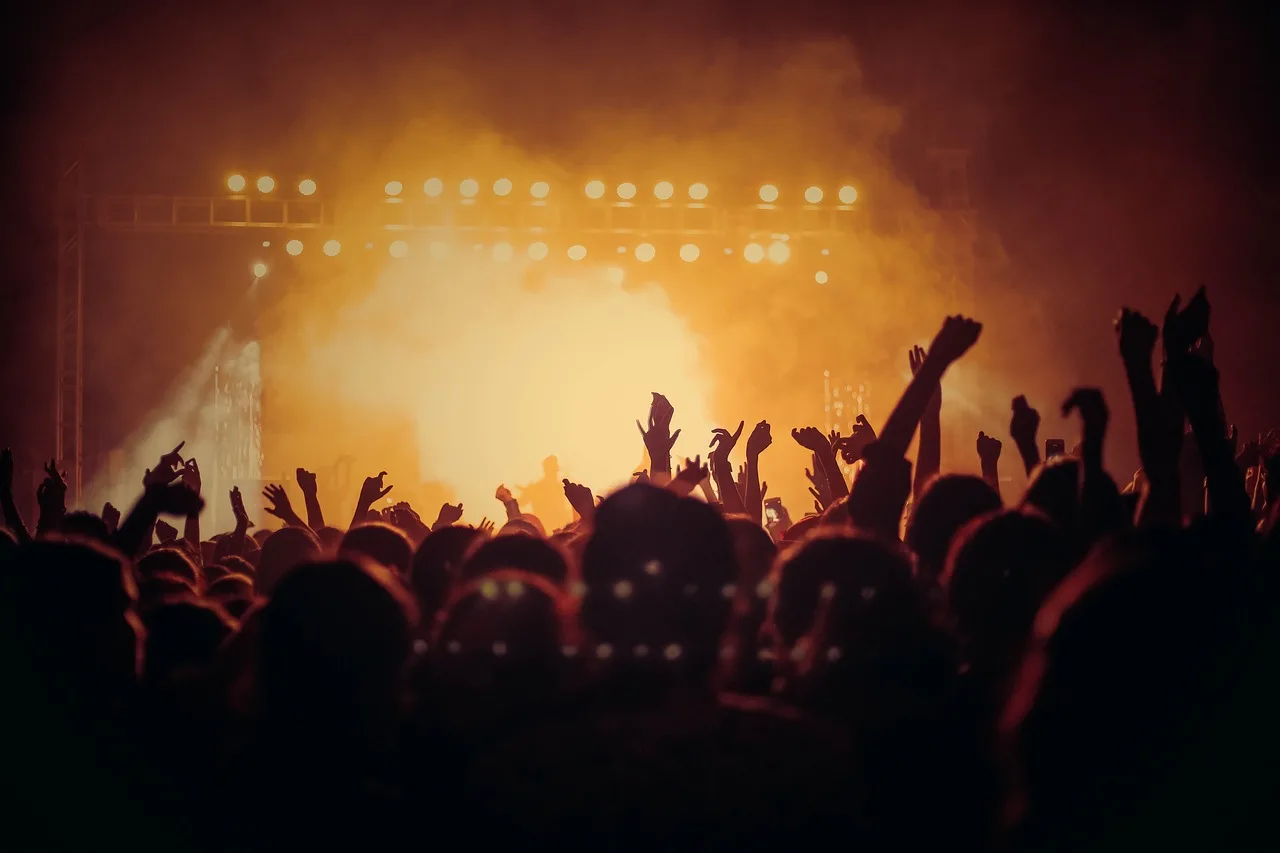 Concert, Live, Audience-3387324.Jpg