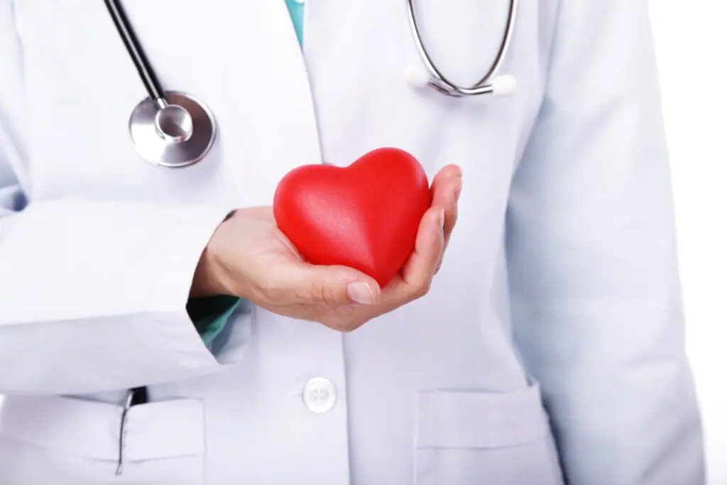 Médico, Serviços De Saúde, 10 Profissionais Mais Requisitados Na Saúde