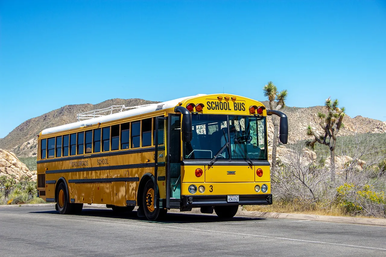 School Bus, Yellow, America-4773905.Jpg