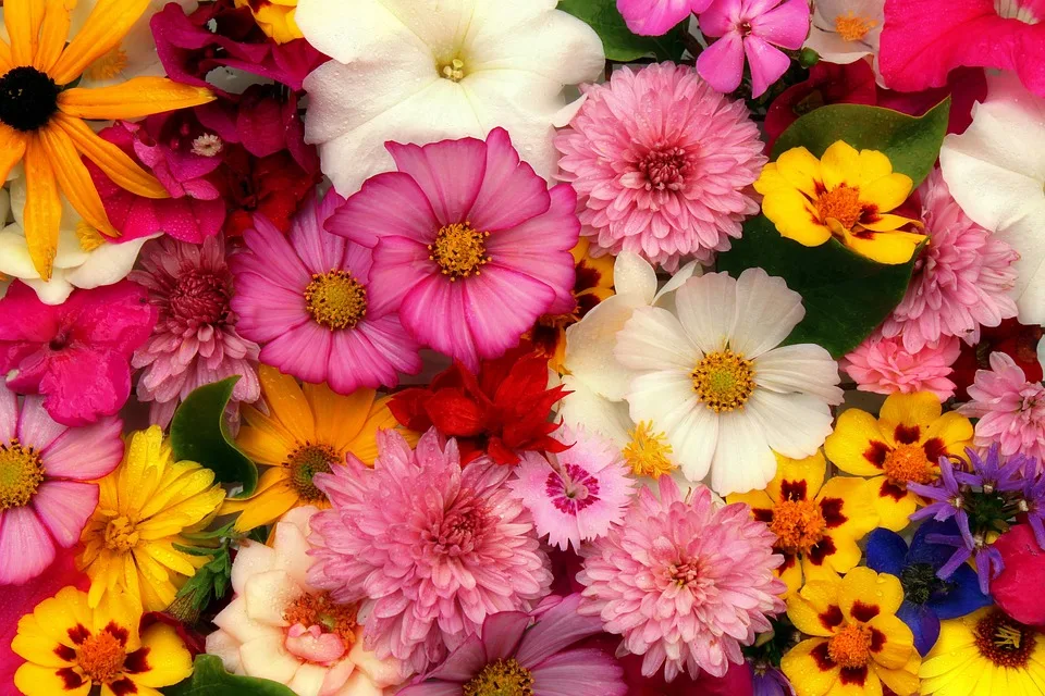 Floricultura