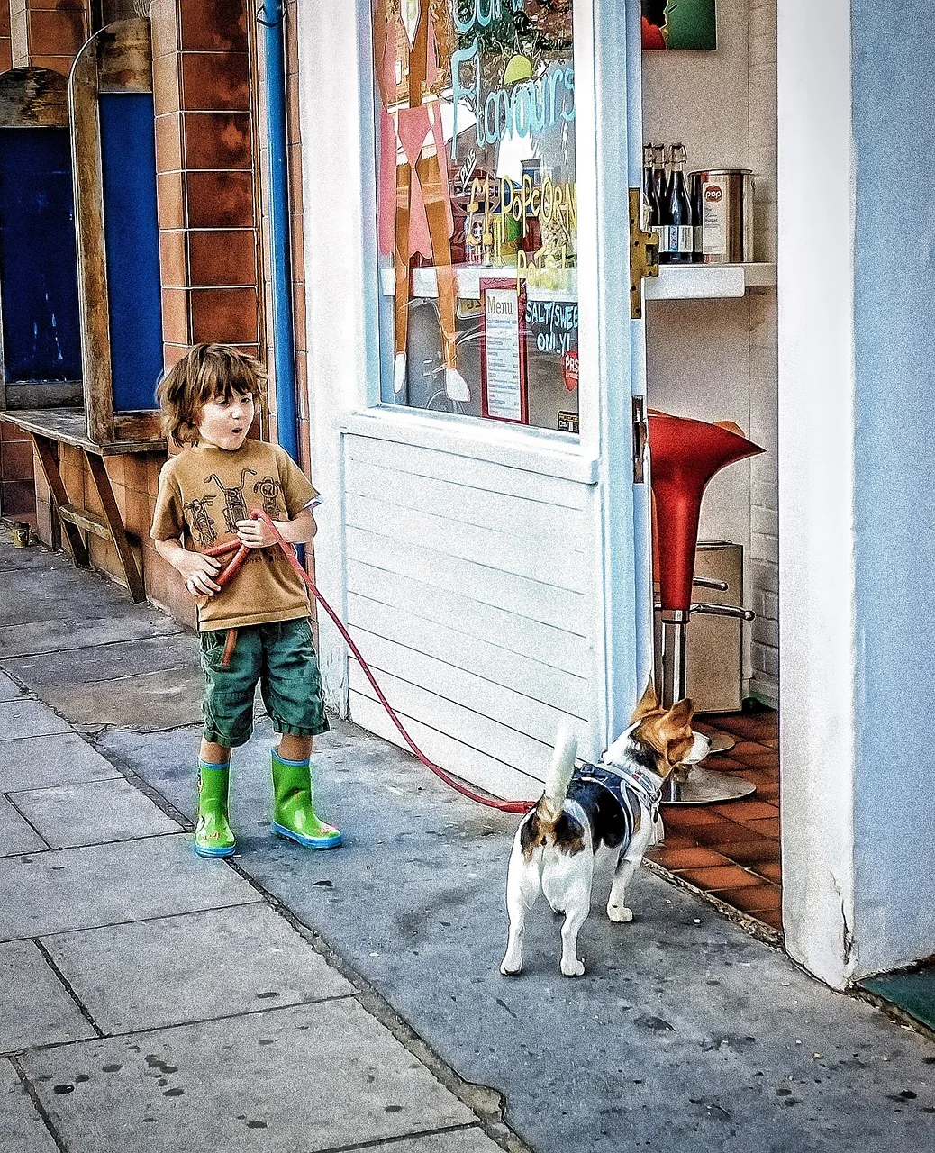 Boy, Animal, Dog-2383386.Jpg