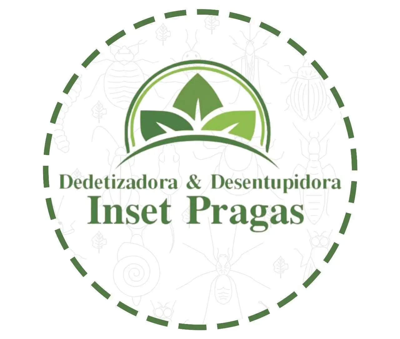Controle de pragas e desentupimento - Inset Pragas | Ribeirão das Neves/MG
