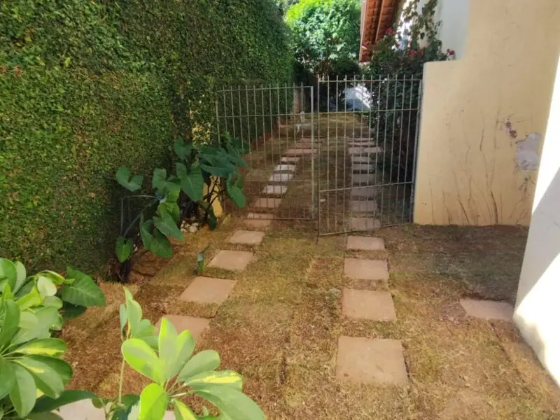 Serviços de jardinagem em Campinas/SP