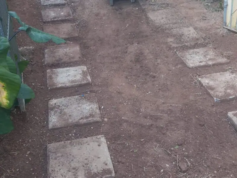 Serviços de jardinagem em Campinas/SP