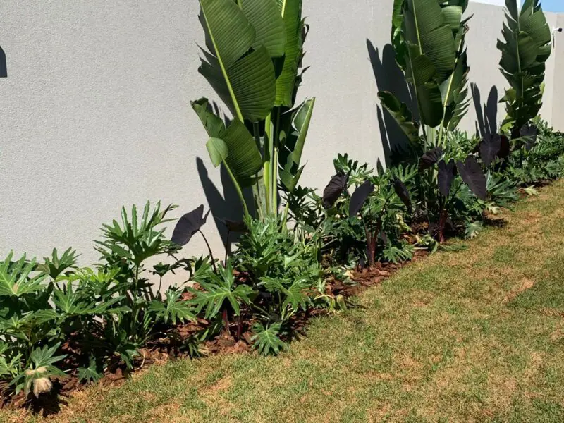 Serviços de jardinagem em Valinhos/SP