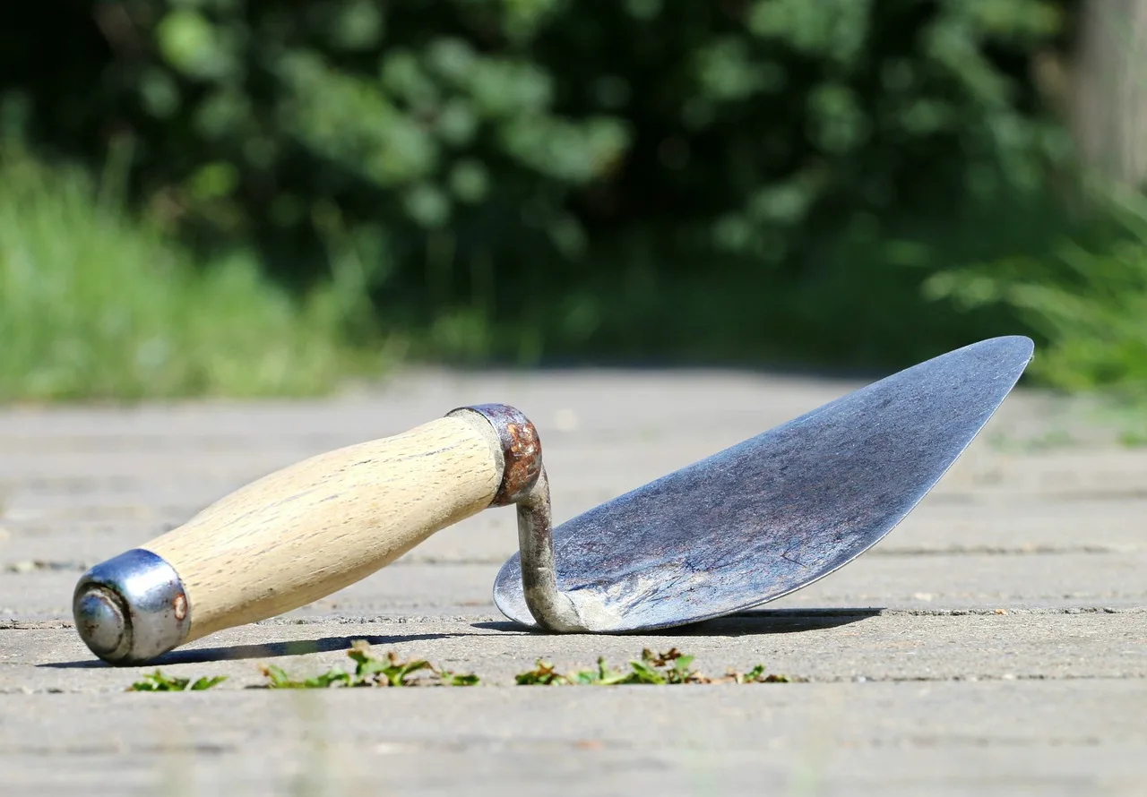 Master Ok, Putty Knife, Construction-1501487.Jpg