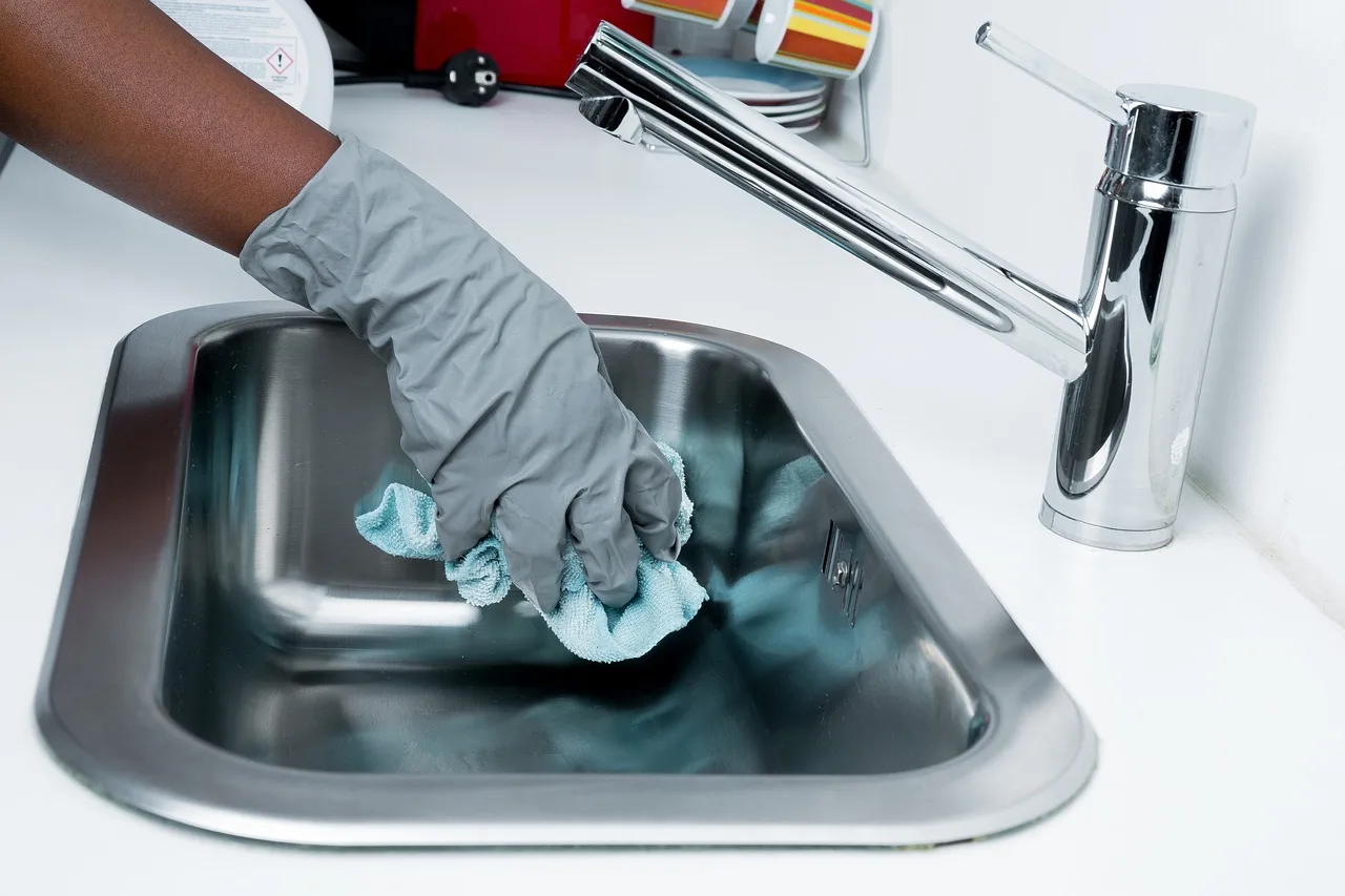 Cleanliness, Maid, Maintains-2799459.Jpg