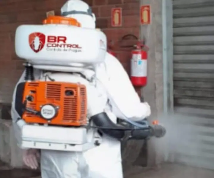 Controle de pragas em São Leopoldo
