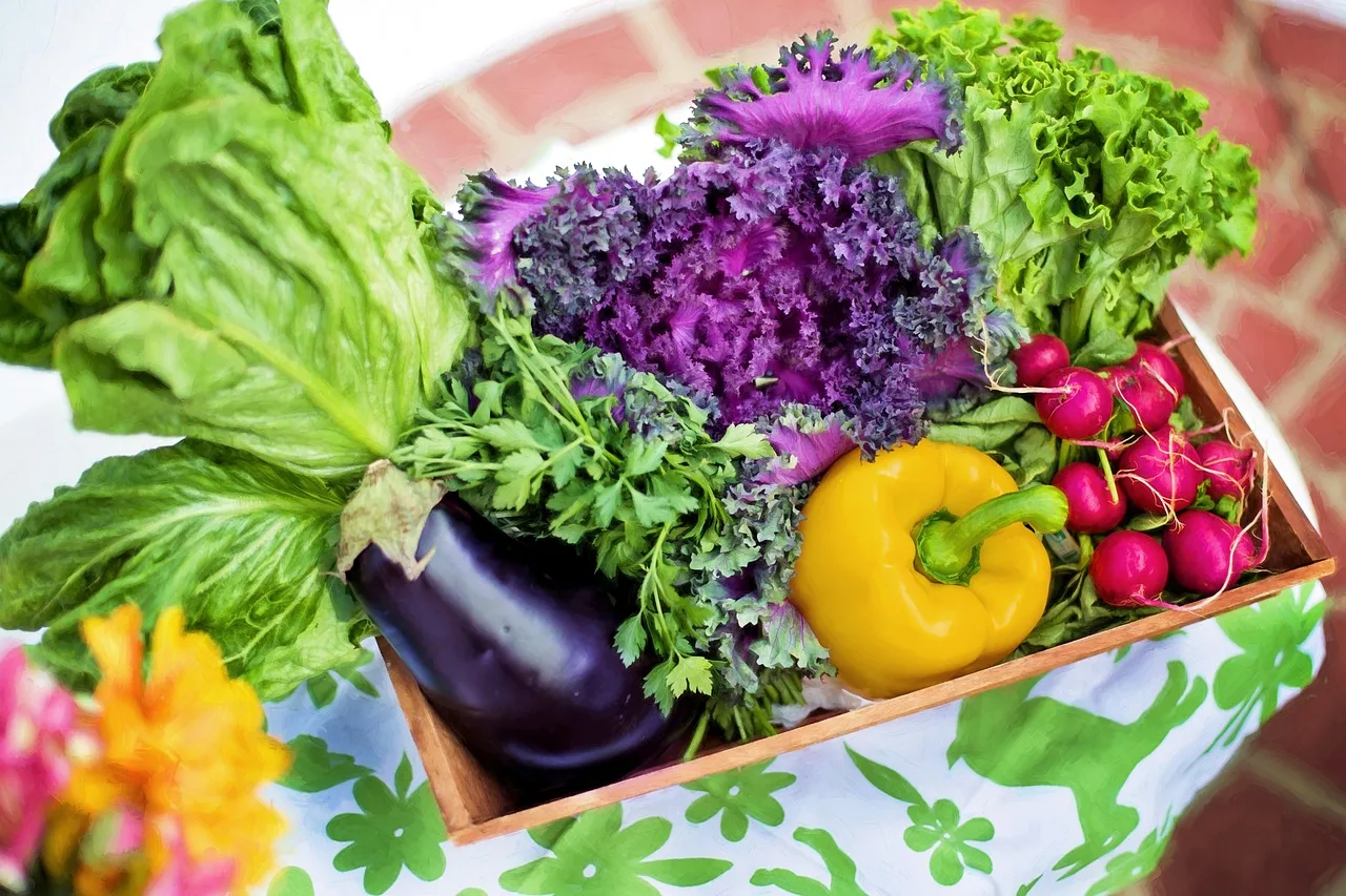 Mercado De Alimentação Vegana