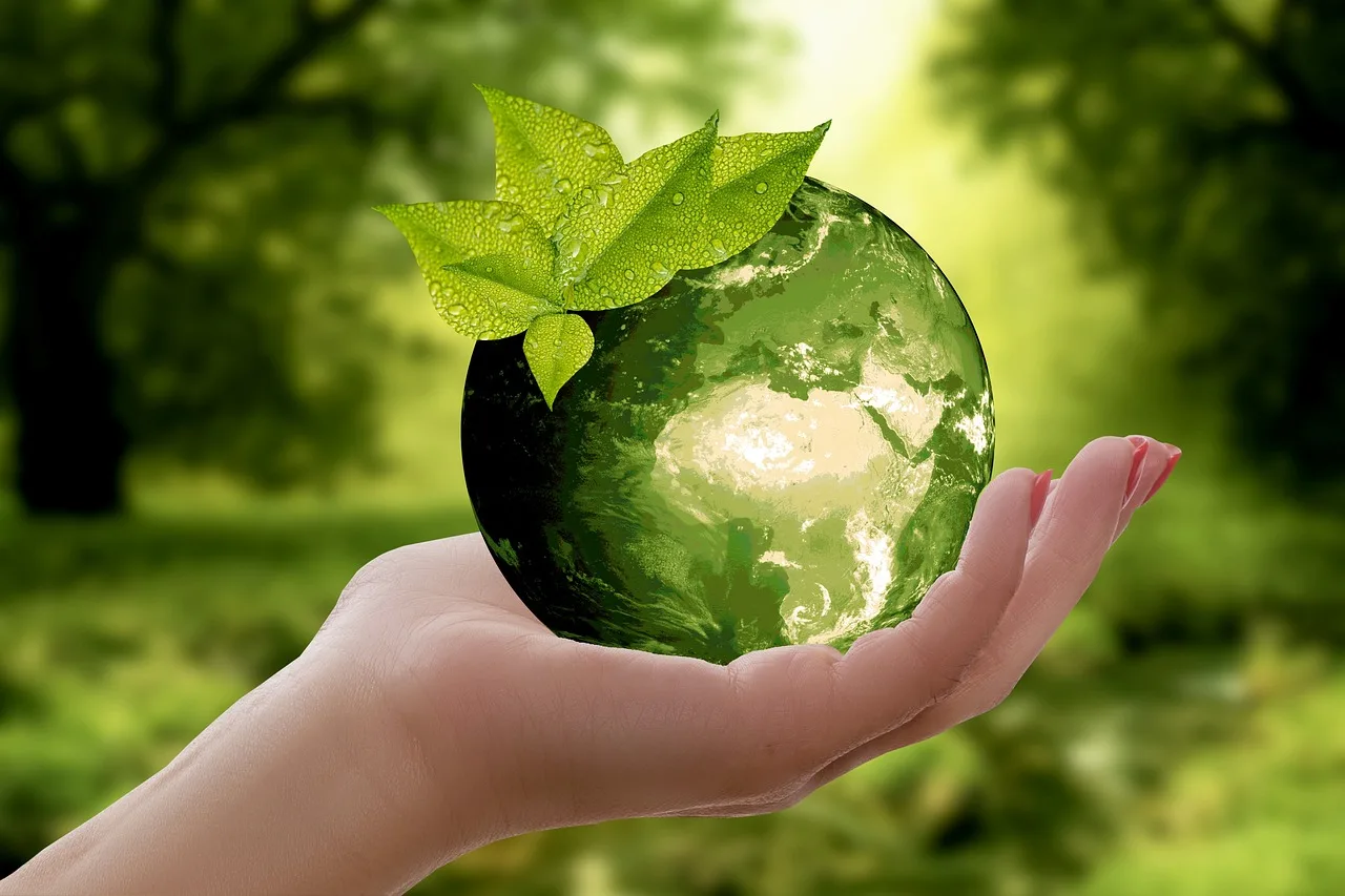 Sustentabilidade Nos Serviços