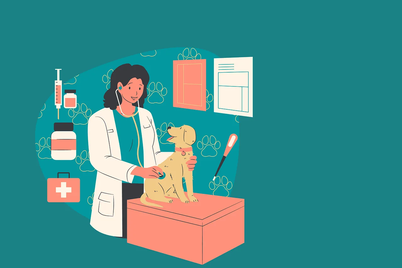 Prestação De Serviços De Ortopedia Veterinária